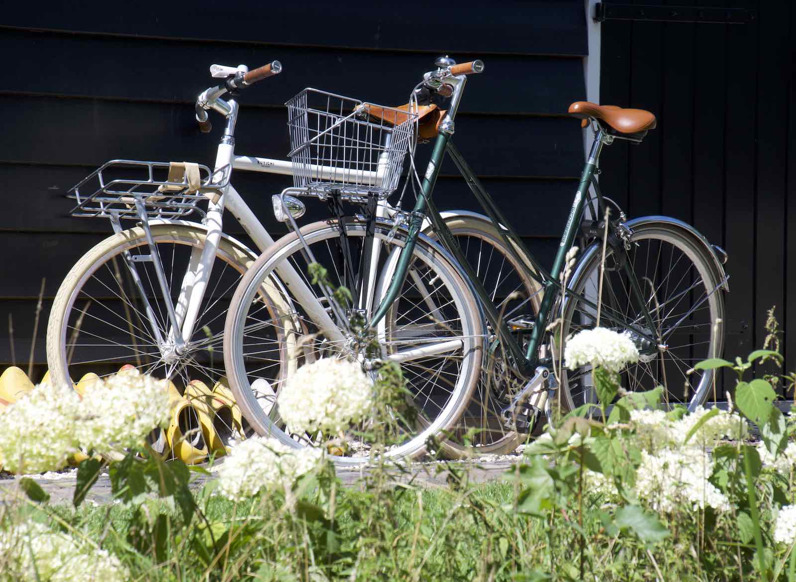 Fietsen en wandelen in de omgeving